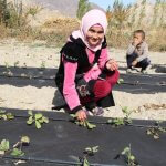 kursanali, kyrgistan