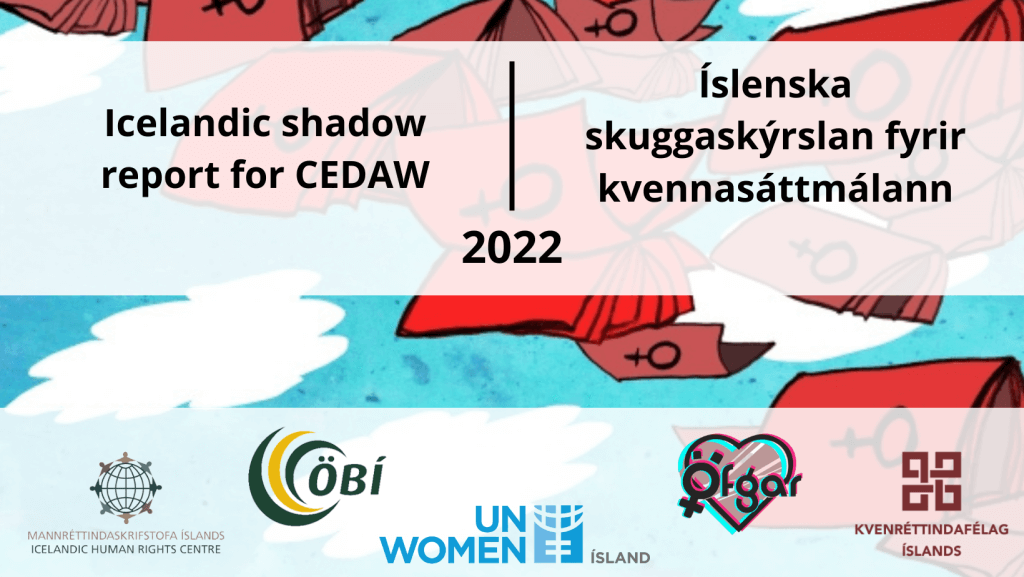 Skuggaskýrsla, cedaw