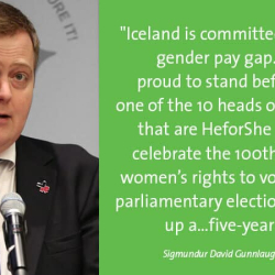 20 ára afmæli Peking sáttmálans