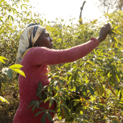 Konur á faraldsfæti: Svör við algengum spurningum um fólksflutninga og kyn