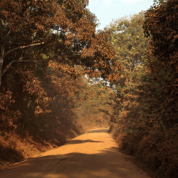 Yfirlýsing SÞ í tilefni alþjóðlegs dags gegn mansali: Konur og stúlkur í mestri hættu á að að verða þolendur mansals