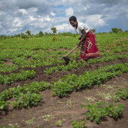 CSW67: Hvað er Pekingsáttmálinn?
