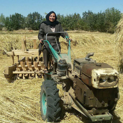 Berst gegn ofbeldi með efnahagslegri valdeflingu