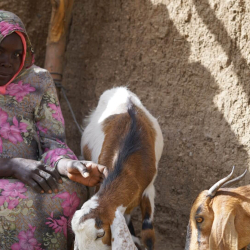 Suður Darfúr: Að styðja við konur, er að styðja við samfélög
