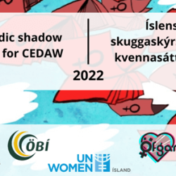Skuggaskýrsla vegna framkvæmdar Íslands á Kvennasáttmálanum