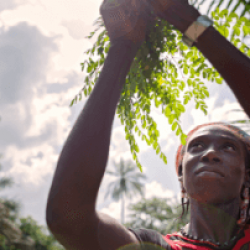 Hæsta fjárframlag til UN Women frá Íslendingum