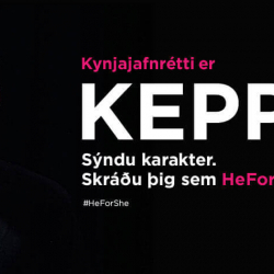 Kynjajafnrétti er keppnis myndbandið sýnt í SÞ í New York