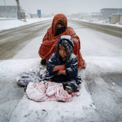 Grípa til hræðilegra neyðarúrræða til að brauðfæða börn sín