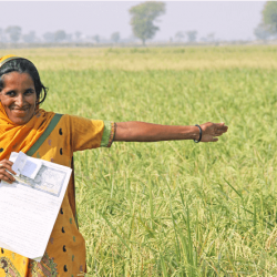Á þessu landi ræð ég ríkjum