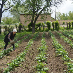 Konur komast að samningaborðinu í Kirgistan