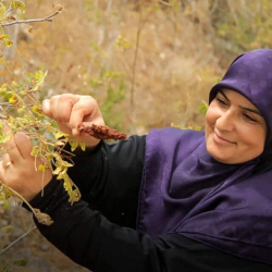 „Verkefnið jók bæði tekjur mínar og frelsi“