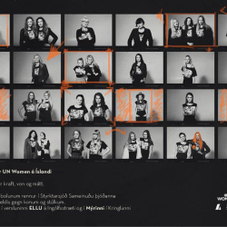 Tæplega þrjár milljónir söfnuðust við sölu á Fiðrildabolnum