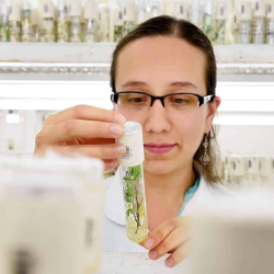 Konur aðeins 33% alls vísindafólks í heiminum