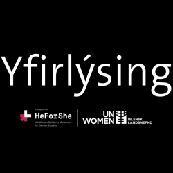 Yfirlýsing vegna Klausturmálsins