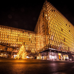 Áskorun til íslenskra stjórnvalda og fyrirtækja að fjárfesta í baráttunni gegn kynbundnu ofbeldi