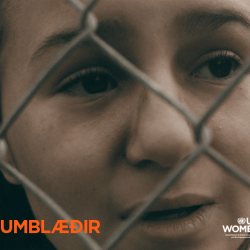 Íslendingar veita sæmdarsett að andvirði 6 milljóna