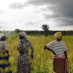 Úganskar konur mega nú erfa eignir